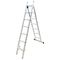 Adjustable Multifunction Scaffolding Two Section Combined Ladder High Strength
